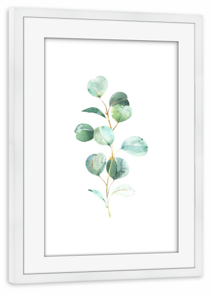 Poster mit Rahmen weiß "Eucalyptus No.2 Watercolor" artboxONE - Floral - Eukalyptus,Zweig,Pflanze,Aquarel,Wasserfarbe