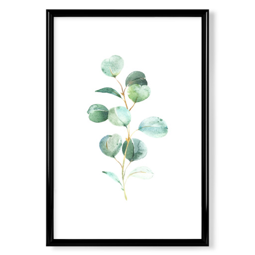 Eucalyptus No.2 Watercolor