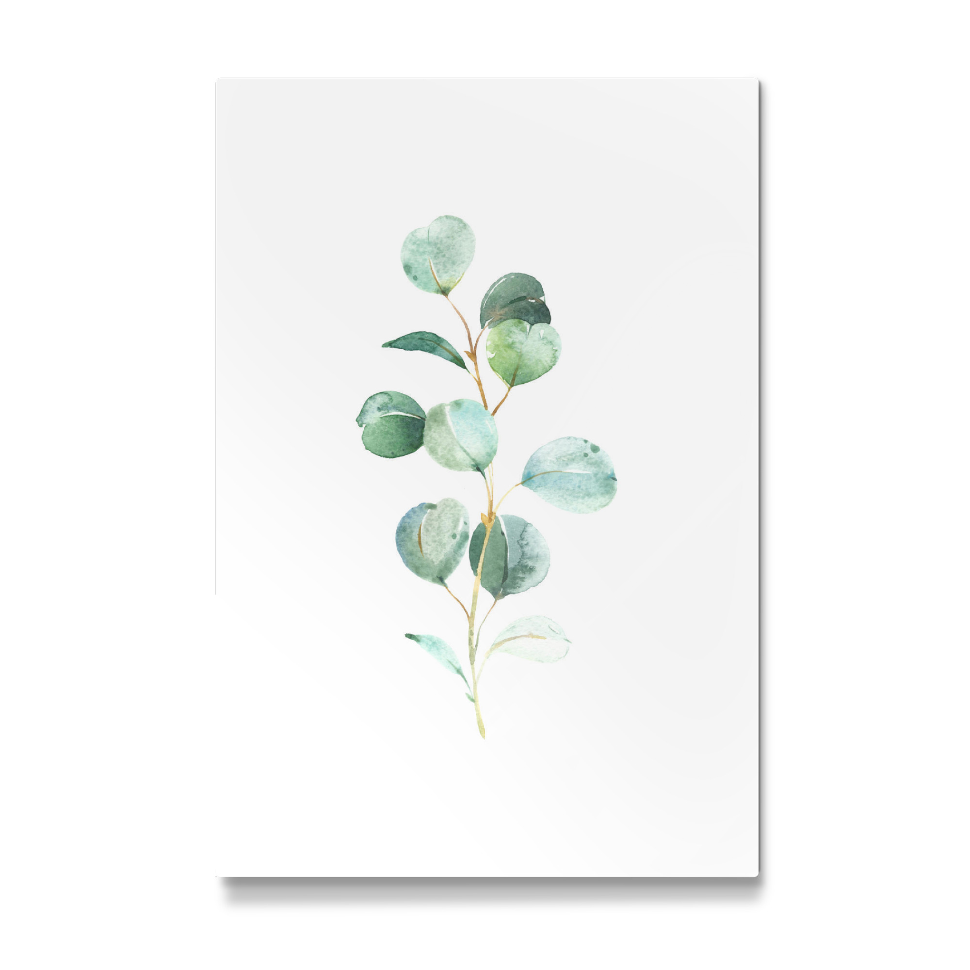 Galerie-Print "Eucalyptus No.2 Watercolor" 75x50 cm artboxONE