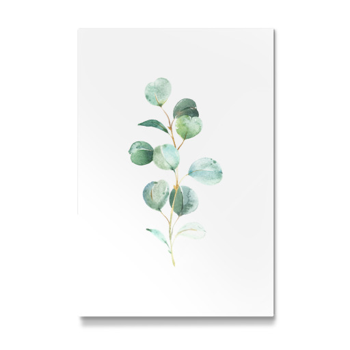 Eucalyptus No.2 Watercolor