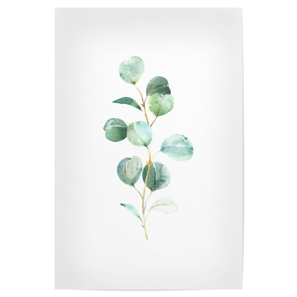 Poster 30x20 cm "Eucalyptus No.2 Watercolor" artboxONE - Floral - Eukalyptus,Zweig,Pflanze,Aquarel,Wasserfarbe
