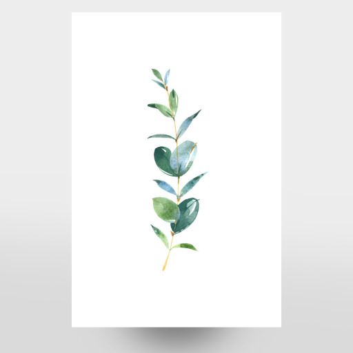 Eucalyptus No.1 Watercolor