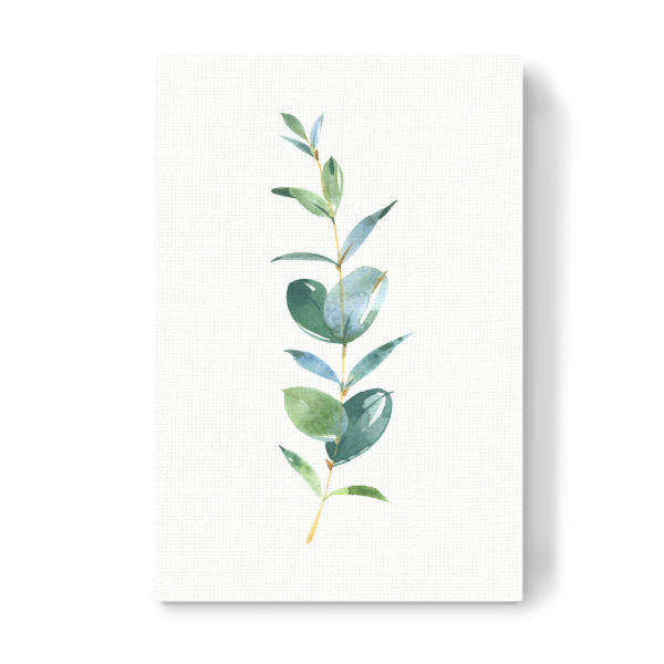 Leinwandbild "Eucalyptus No.1 Watercolor" artboxONE - Floral - Eukalyptus,Zweig,Aquarel,Wasserfarbe