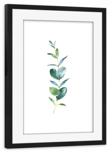 Poster mit Rahmen schwarz "Eucalyptus No.1 Watercolor" artboxONE - Floral - Eukalyptus,Zweig,Aquarel,Wasserfarbe