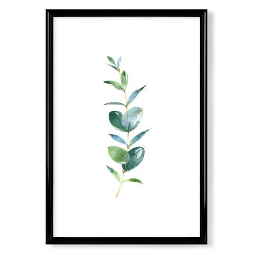 Eucalyptus No.1 Watercolor