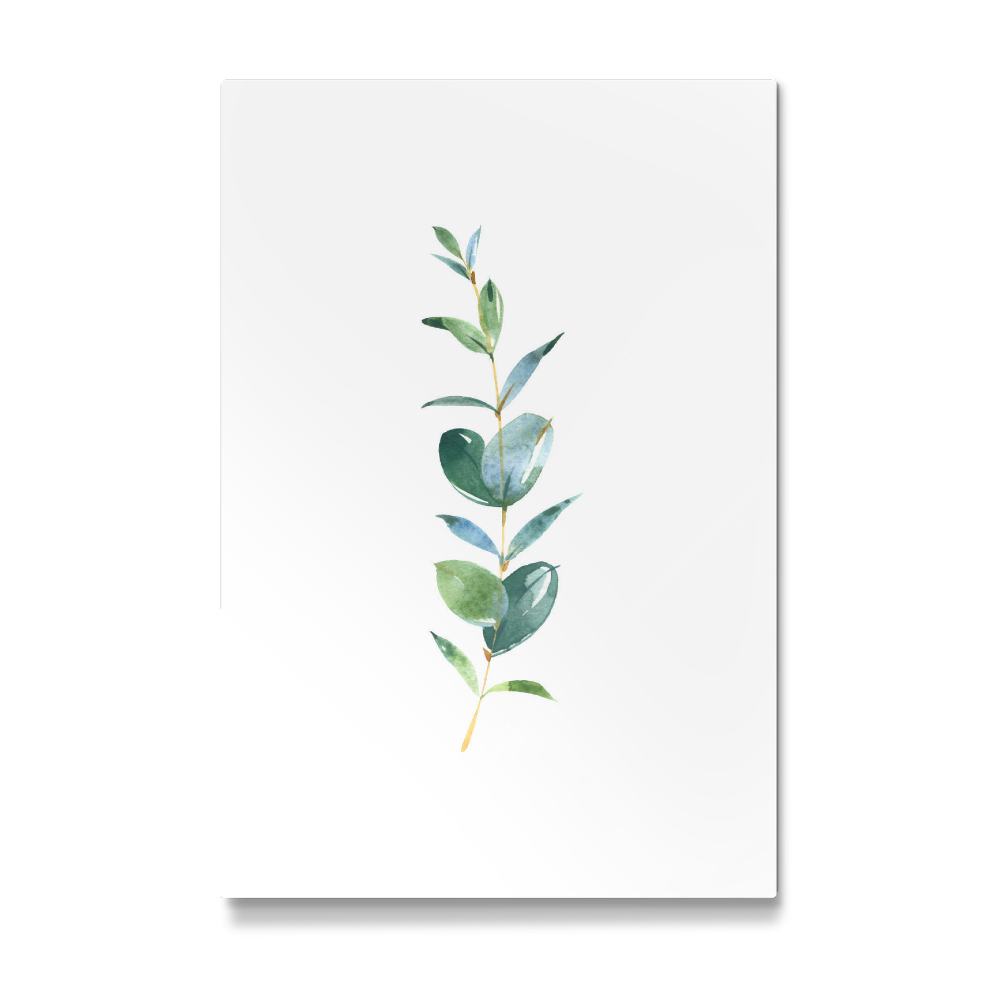 Galerie-Print "Eucalyptus No.1 Watercolor" 75x50 cm artboxONE