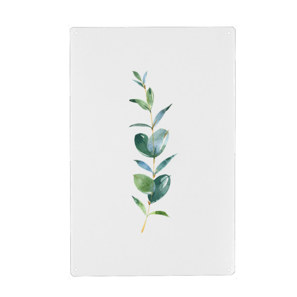 Metall Poster "Eucalyptus No.1 Watercolor" artboxONE - Floral - Eukalyptus,Zweig,Aquarel,Wasserfarbe - Blechschild