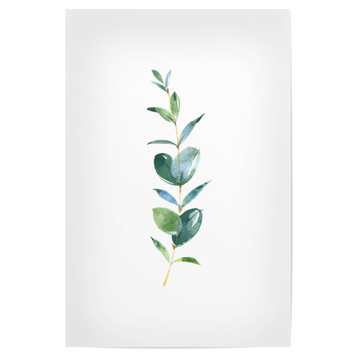 Eucalyptus No.1 Watercolor