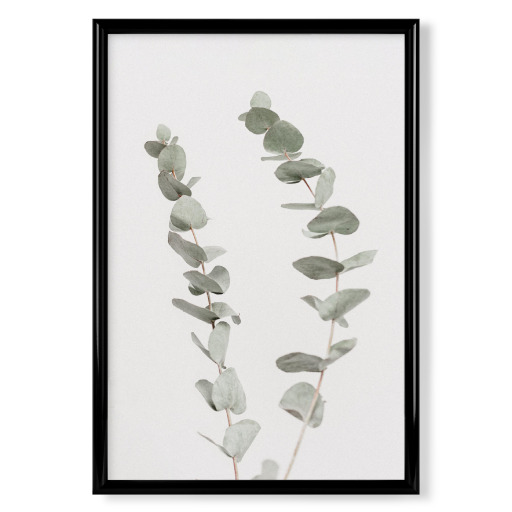 Minimal Eucalyptus
