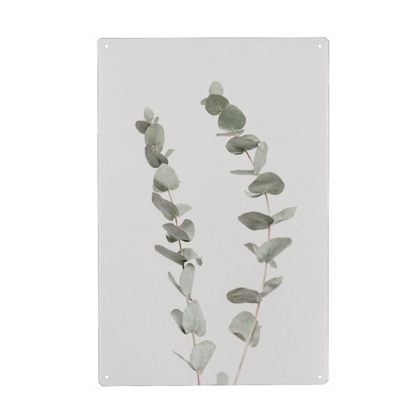 Metall Poster "Minimal Eucalyptus" artboxONE - Floral - Eukalyptus,Zweig,Pflanze - Blechschild