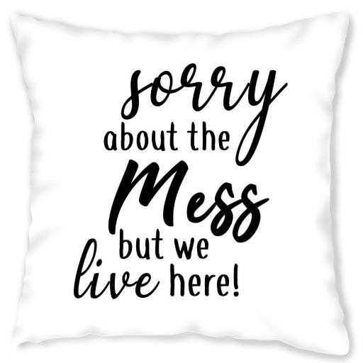 Sorry about the mess
