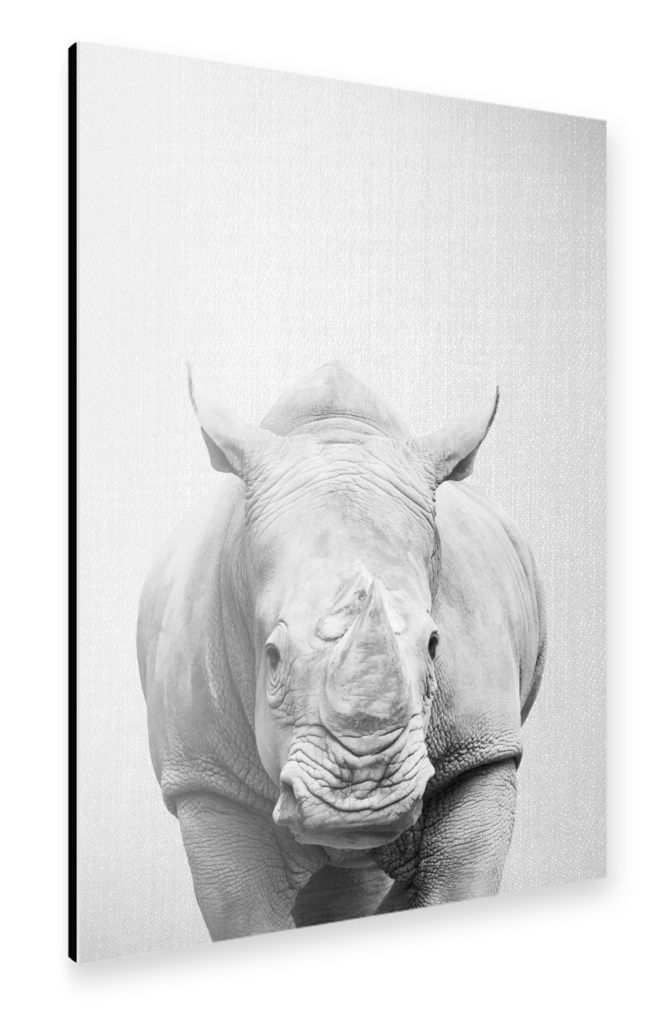 Alu-Dibond "Rhino - Black & White" 30x20 cm artboxONE