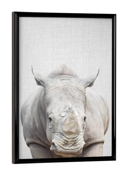 Poster mit schwarzem Rahmen "Rhino - Colorful" artboxONE - Tiere - Animal,Animals,Portrait,Safari,Africa,Rhino,Rhinoceros