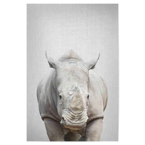 Poster 30x20 cm "Rhino - Colorful" artboxONE - Tiere - Animal,Animals,Portrait,Safari,Africa,Rhino,Rhinoceros