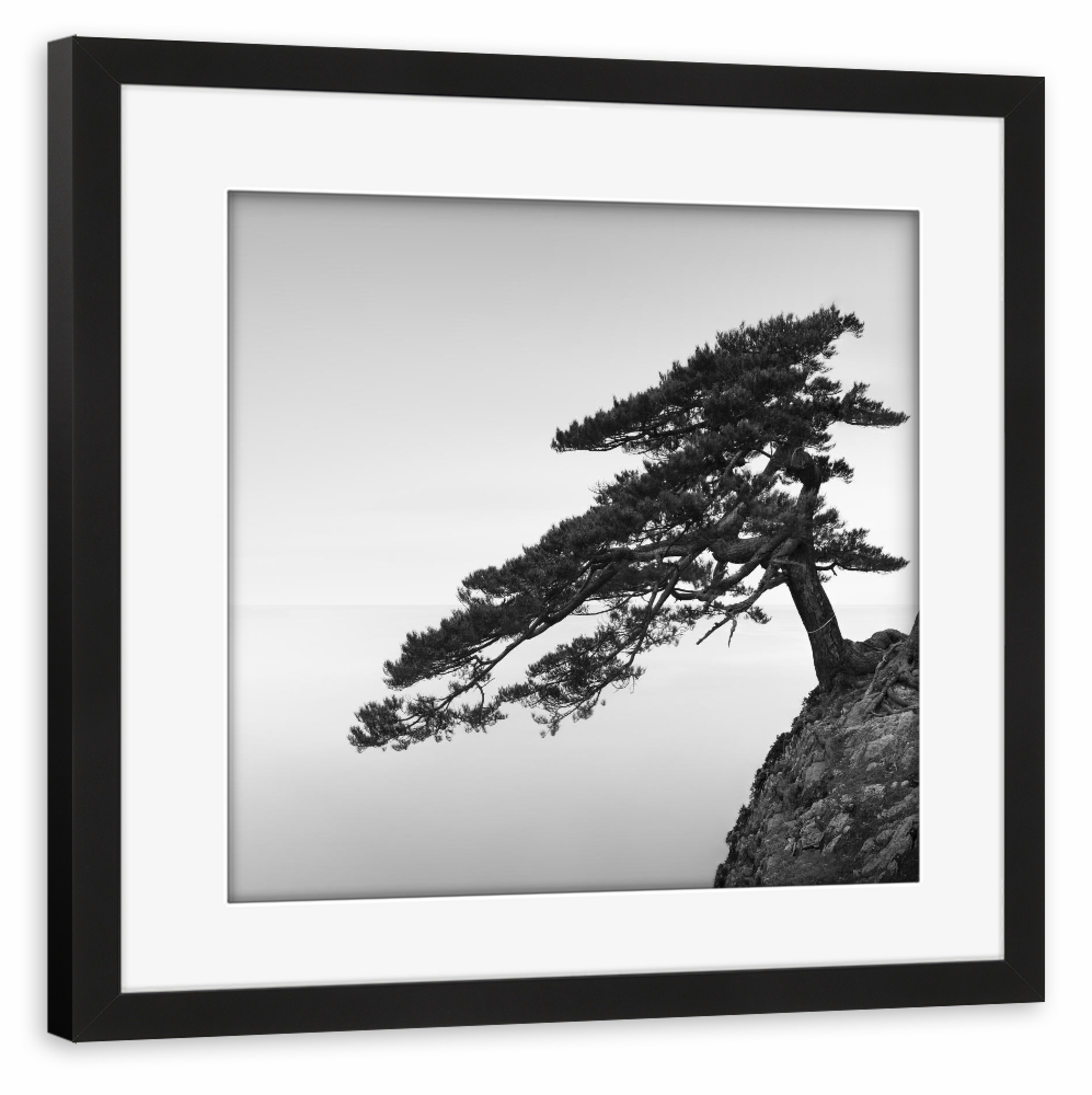 Poster mit Rahmen schwarz "Uradome Tree | Japan" artboxONE - Natur,Reise,Städte / Tokio - Japan,Baum,Bonsai,Asien,Meer