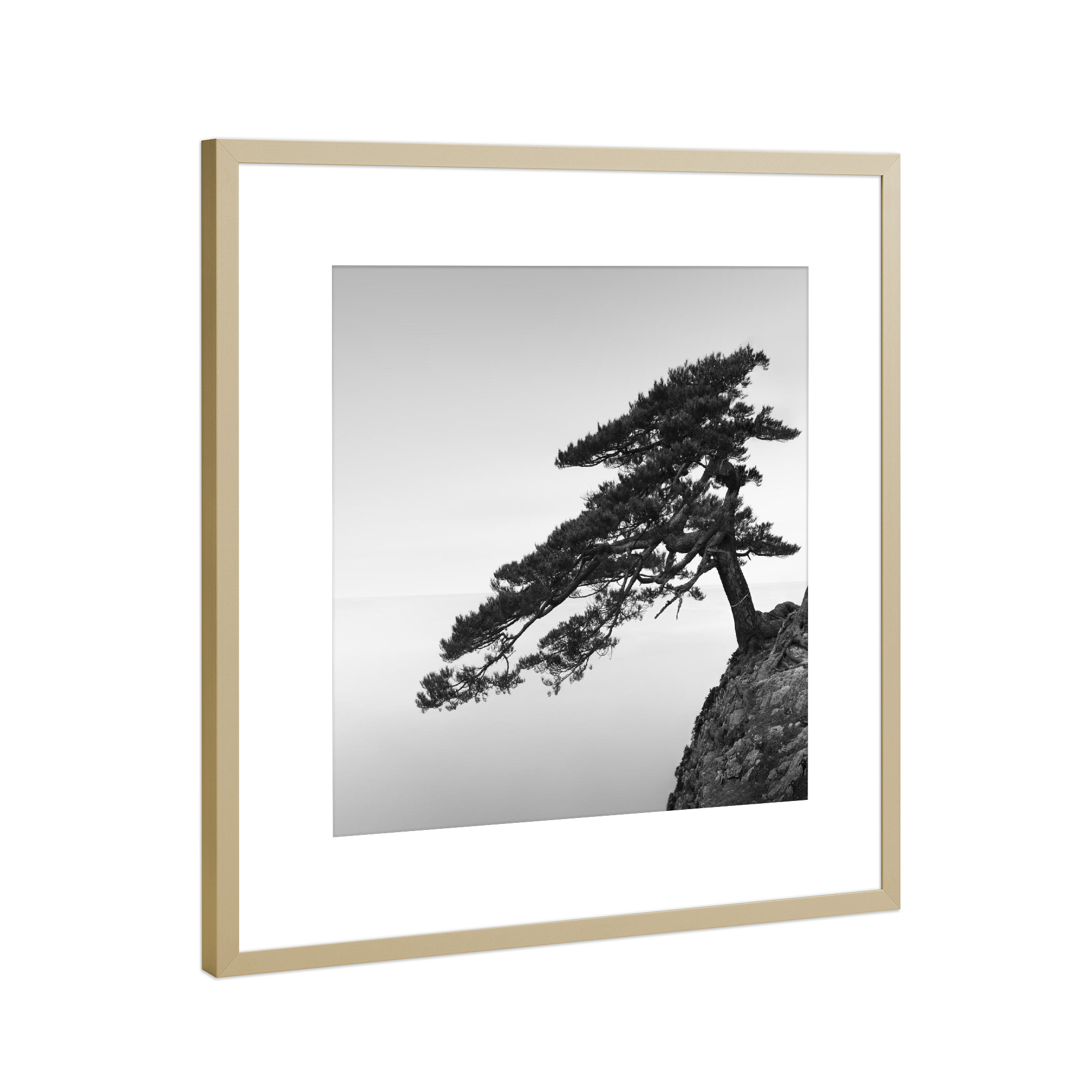 Poster mit Rahmen Gold "Uradome Tree | Japan" artboxONE - Natur,Reise,Städte / Tokio - Japan,Baum,Bonsai,Asien,Meer