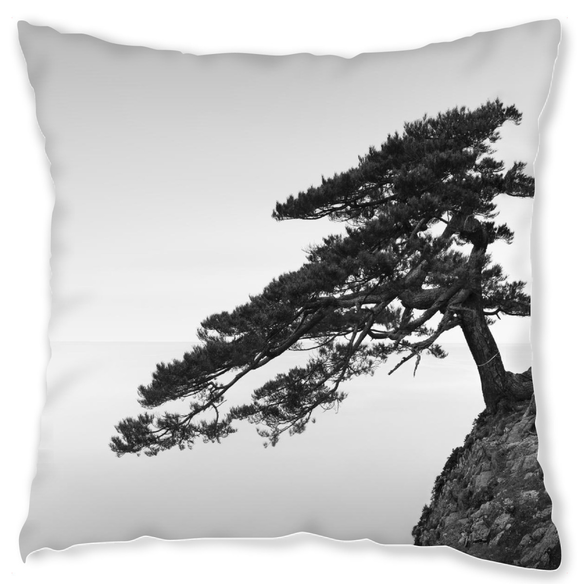 Design-Kissen "Uradome Tree | Japan" artboxONE - Natur,Reise,Stߤdte / Tokio - Japan,Baum,Bonsai,Asien,Meer