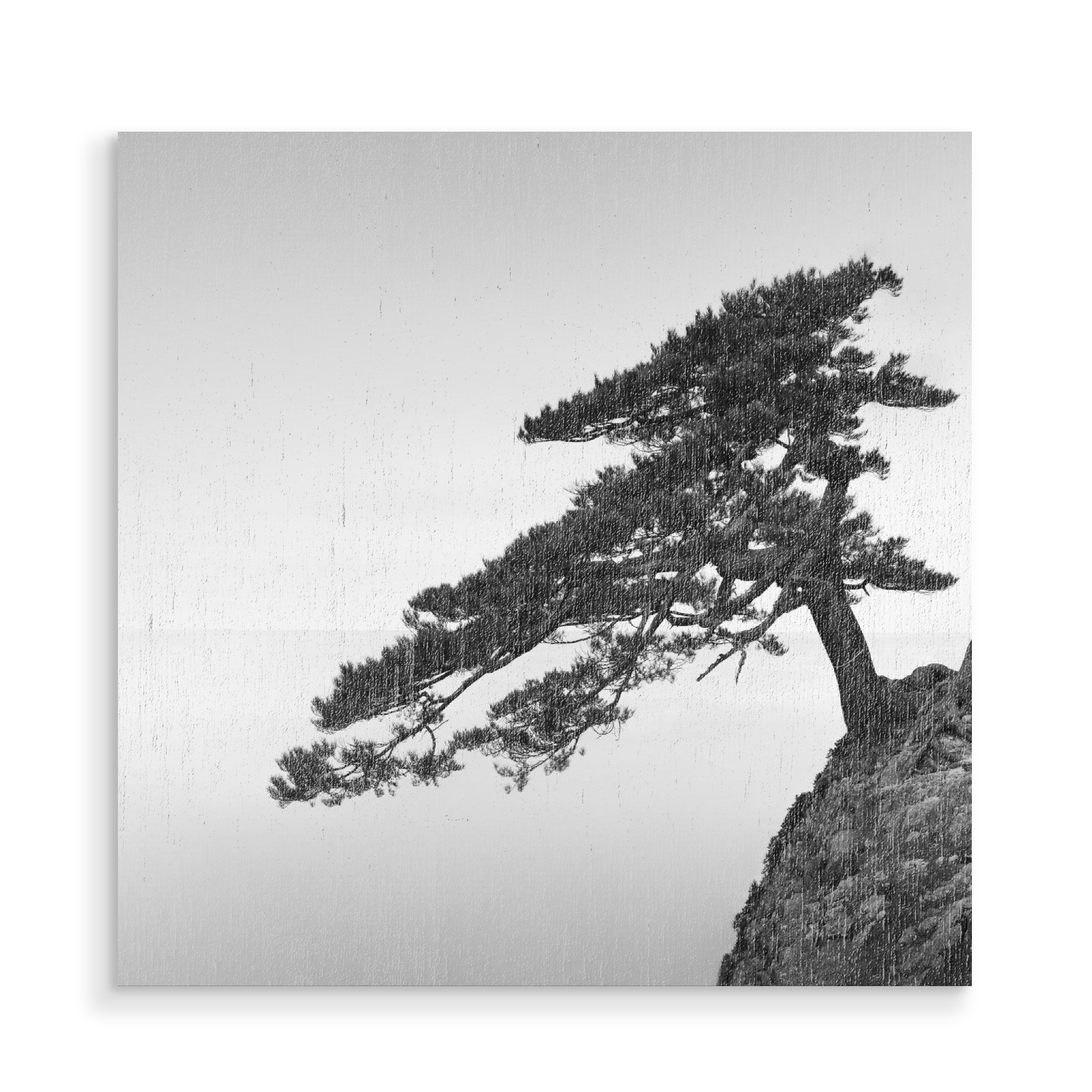 Holzbild "Uradome Tree | Japan" artboxONE - Natur,Reise,Städte / Tokio - Japan,Baum,Bonsai,Asien,Meer