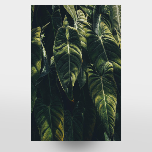 Greenery Love