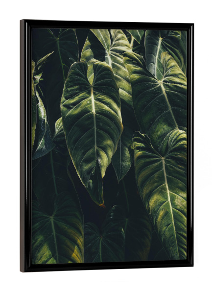 Poster mit schwarzem Rahmen "Greenery Love" artboxONE - Floral - Blätter,Blatt,Urban jungle,Pflanze