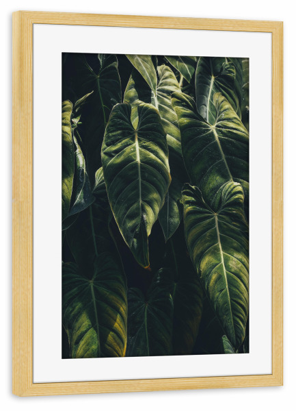 Poster mit Rahmen kiefer "Greenery Love" artboxONE - Floral - Blätter,Blatt,Urban jungle,Pflanze