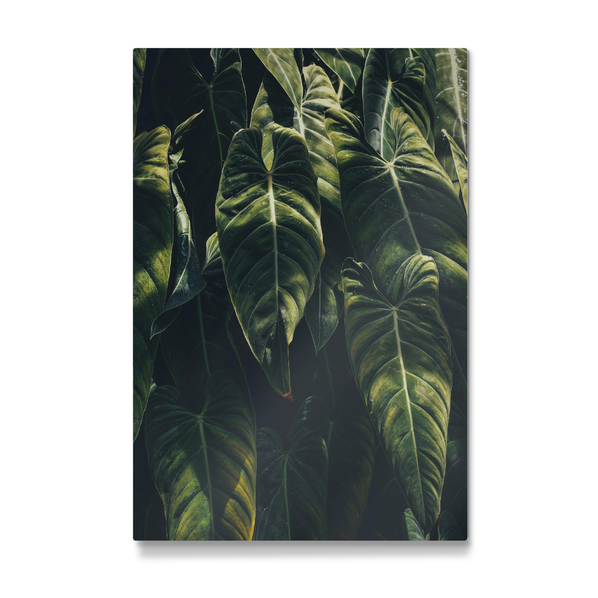 Galerie-Print "Greenery Love" 75x50 cm artboxONE