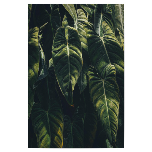 Greenery Love