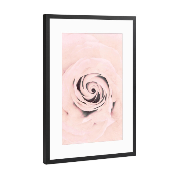 Poster mit Rahmen Schwarz (Metallic) "Pure Rose" artboxONE - Floral - Rose,Pink,Floral,Flower,Nature,Abstract,Macro