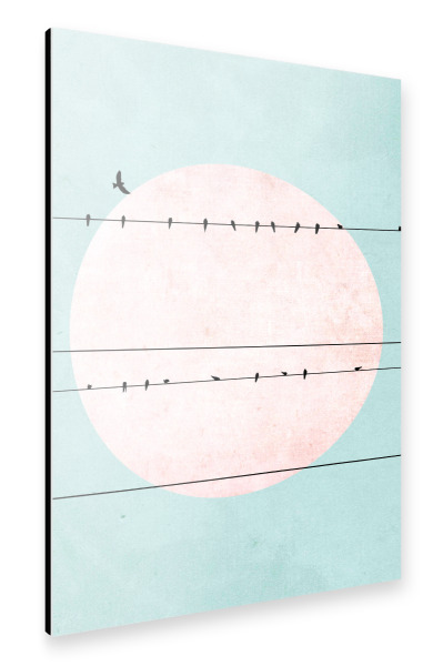 Alu-Dibond "Wire horizon" 30x20 cm artboxONE