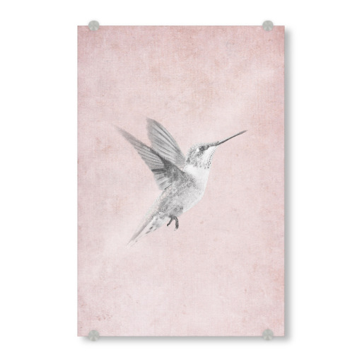 Vintage Kolibri