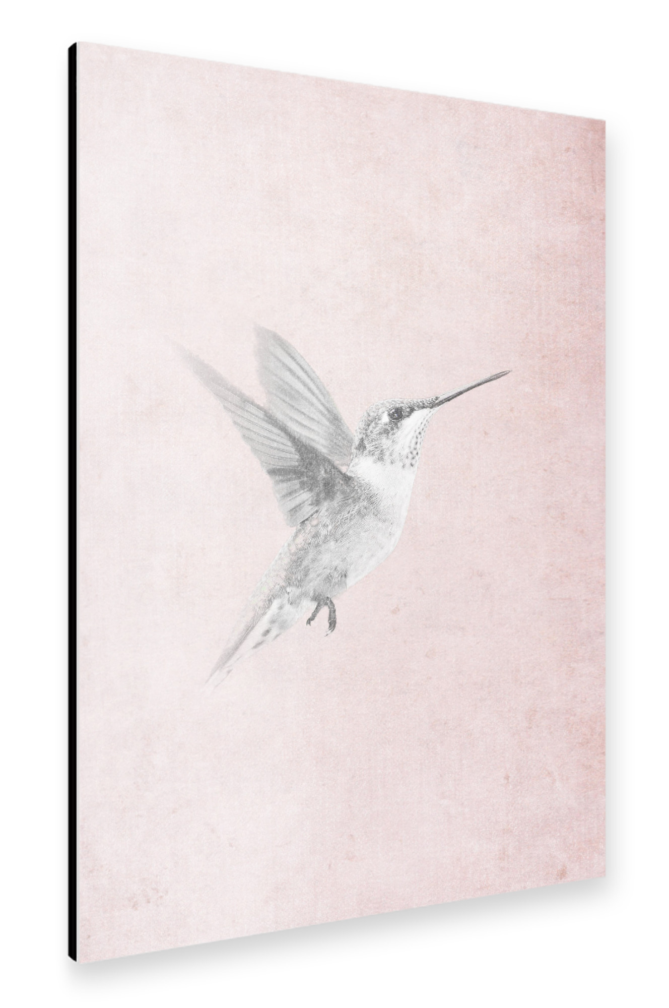 Alu-Dibond "Vintage Kolibri" 30x20 cm artboxONE