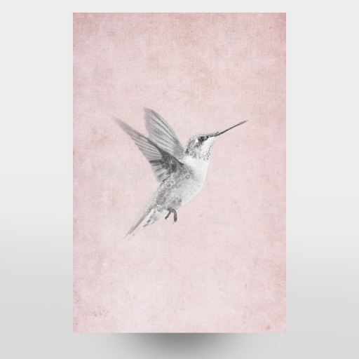 Vintage Kolibri