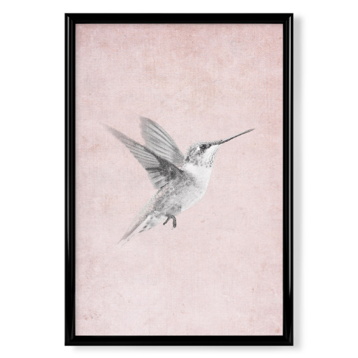Vintage Kolibri