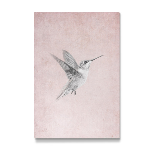 Vintage Kolibri