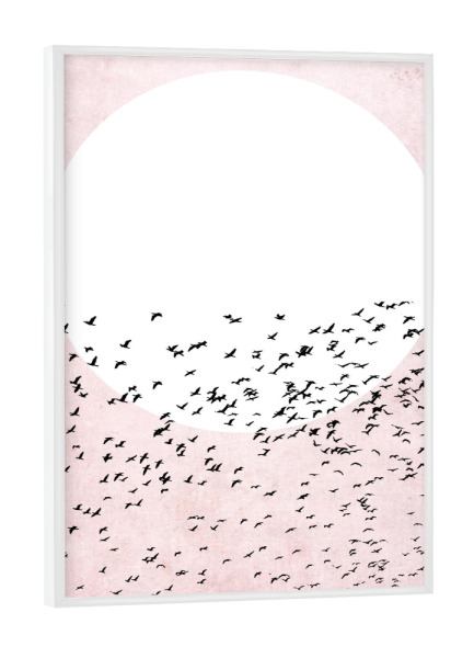 Poster mit weißem Rahmen "Sunrise moment" artboxONE - Natur,Tiere,Abstrakt