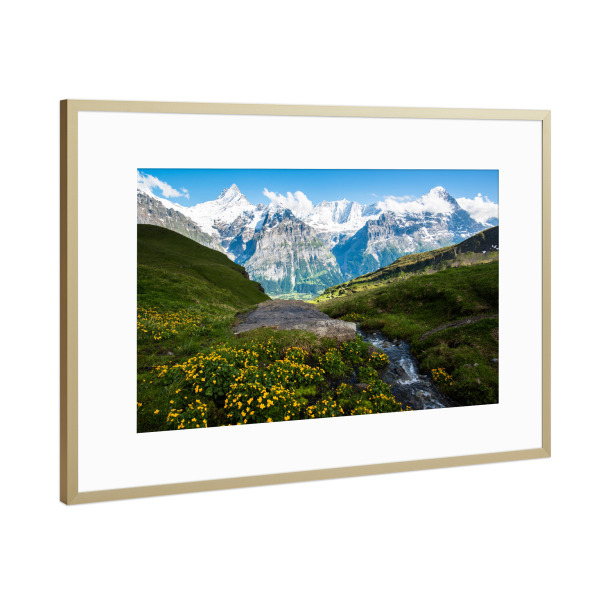 Poster mit Rahmen Gold "First panorama" artboxONE - Natur