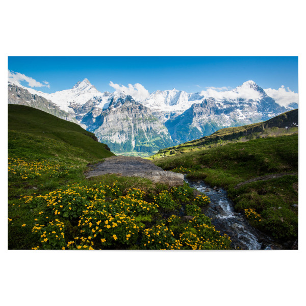 Poster "First panorama" artboxONE - Natur