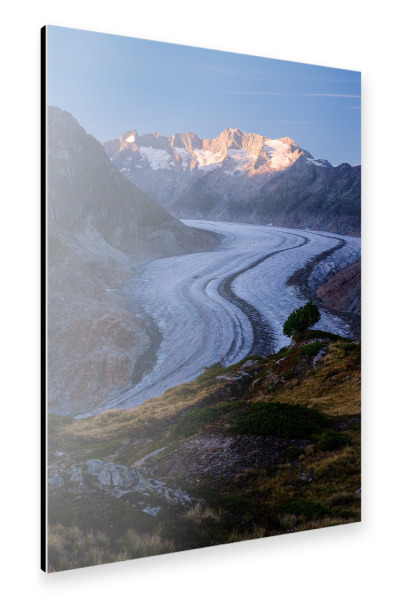 Alu-Dibond "Panoramic view of Aletsch glacier" 30x20 cm artboxONE