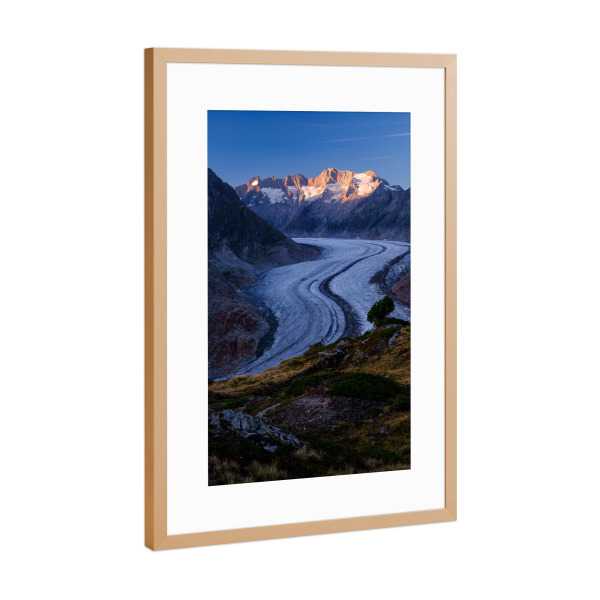 Poster mit Rahmen Kupfer "Panoramic view of Aletsch glacier" artboxONE - Natur