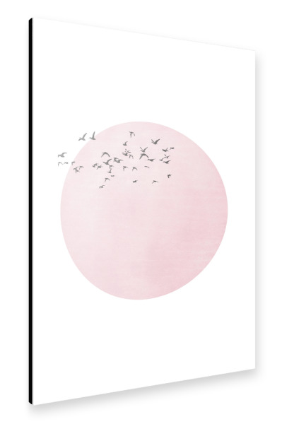 Alu-Dibond "Ciel rosé" 30x20 cm artboxONE