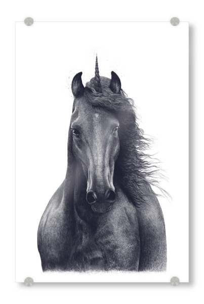 Acrylglasbild "Black unicorn" artboxONE - Tiere,Schwarzweiß - Unicorn,Horse,Black and white,Magic