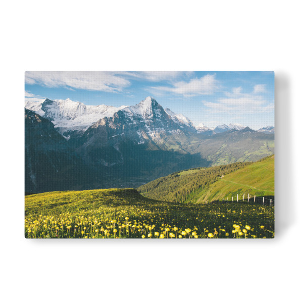 Leinwandbild "Eiger with alpine meadow" artboxONE - Natur