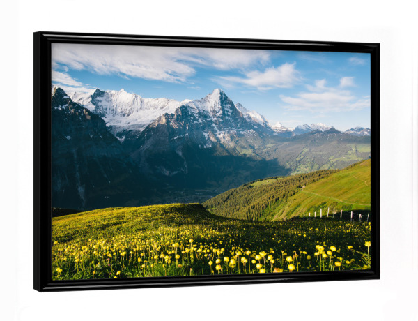 Poster mit schwarzem Rahmen "Eiger with alpine meadow" artboxONE - Natur