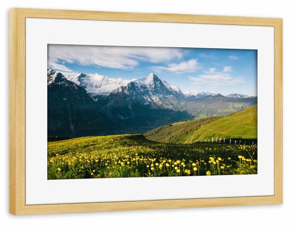 Poster mit Rahmen kiefer "Eiger with alpine meadow" artboxONE - Natur