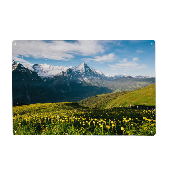 Holzbild "Eiger with alpine meadow" artboxONE - Natur