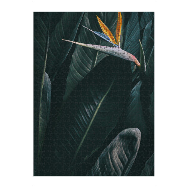 Puzzle Ravensburger "Bird of paradise" artboxONE - Floral