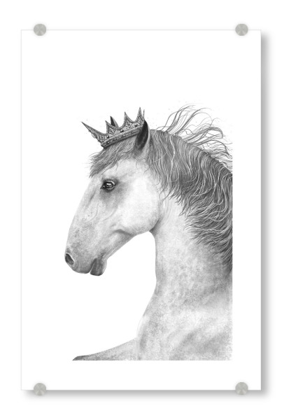 Acrylglasbild "King horse" artboxONE - Tiere,Schwarzweiß,Für Papa,Lustig - Horse,King,Royal,Black and white,Beauty,Pferdeliebhaber,Geschenk