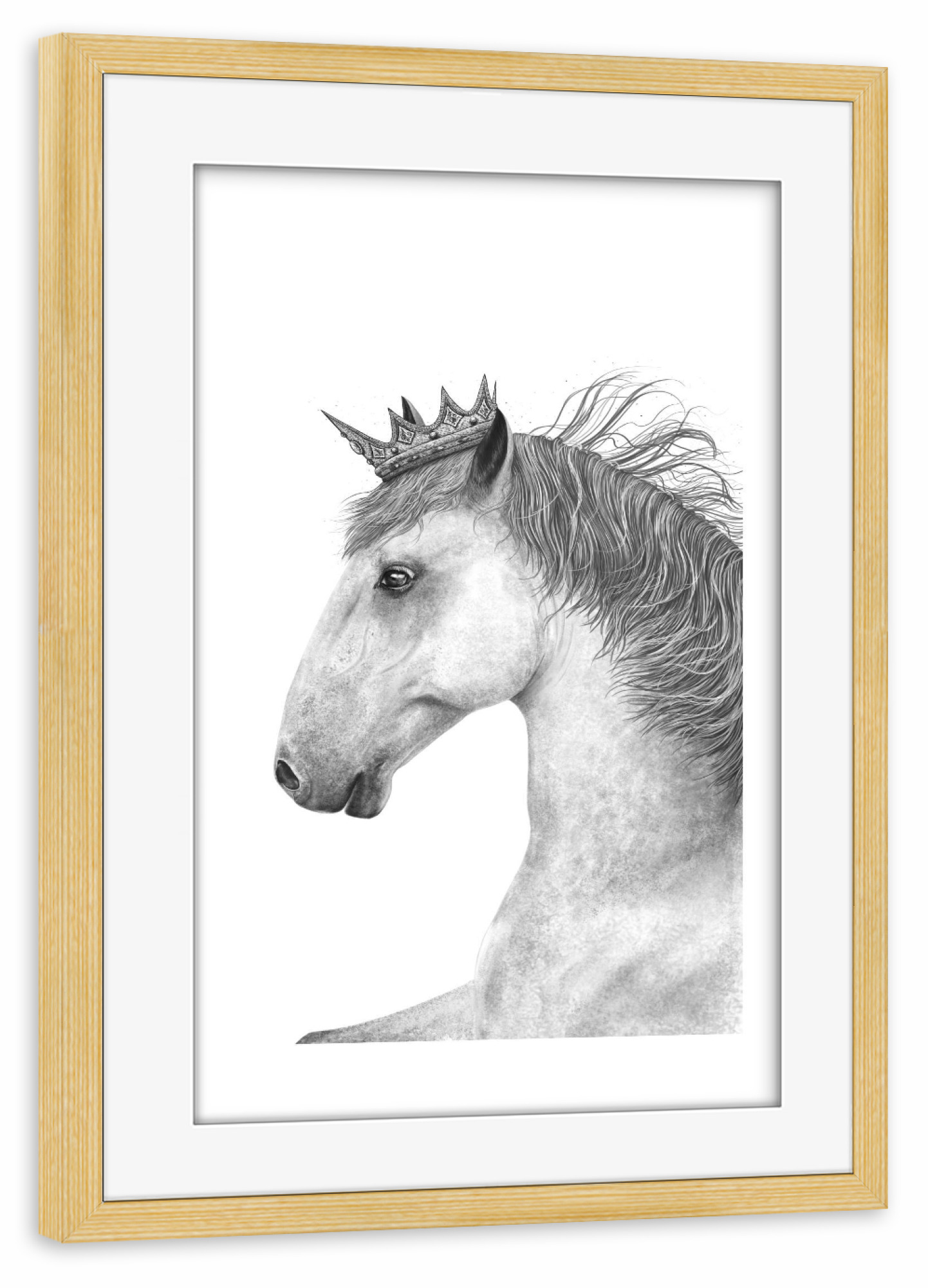 Poster mit Rahmen kiefer "King horse" artboxONE - Tiere,Schwarzweiß,Für Papa,Lustig - Horse,King,Royal,Black and white,Beauty,Pferdeliebhaber,Geschenk