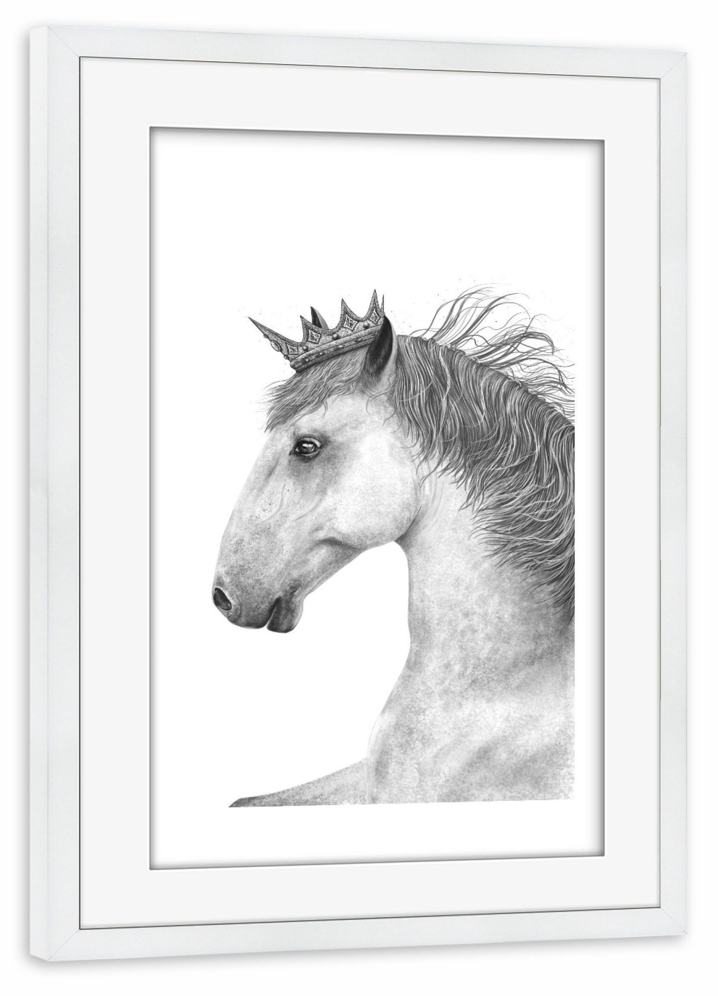 Poster mit Rahmen weiß "King horse" artboxONE - Tiere,Schwarzweiß,Für Papa,Lustig - Horse,King,Royal,Black and white,Beauty,Pferdeliebhaber,Geschenk