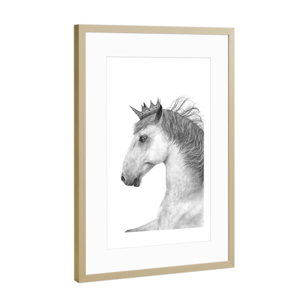 Poster mit Rahmen Gold "King horse" artboxONE - Tiere,Schwarzweiß,Für Papa,Lustig - Horse,King,Royal,Black and white,Beauty,Pferdeliebhaber,Geschenk